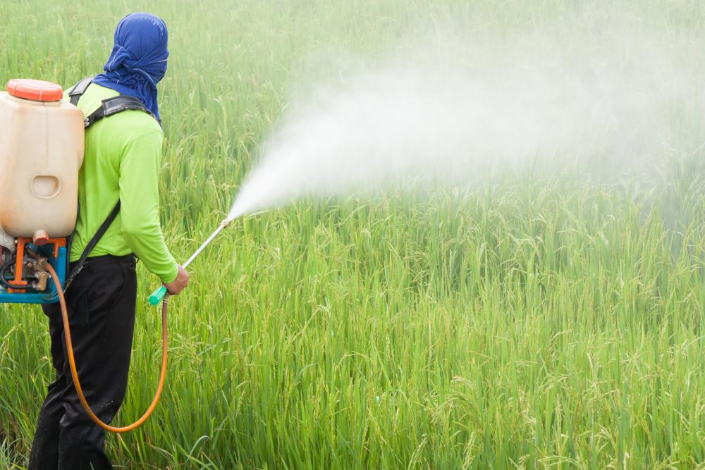 Pestizide-belasten-unsere-Umwelt-und-Gewässer